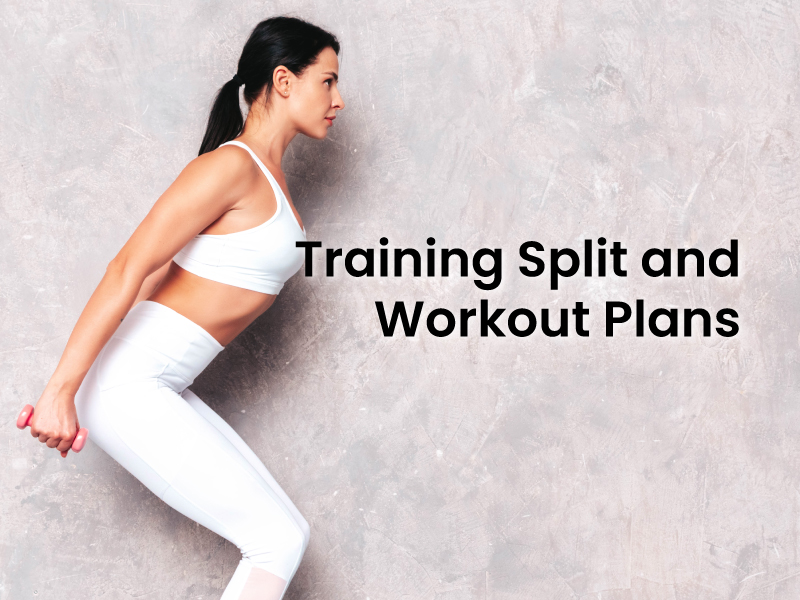 Training Split and Workout Plans