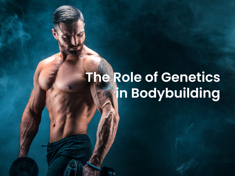 The Role of Genetics in Bodybuilding