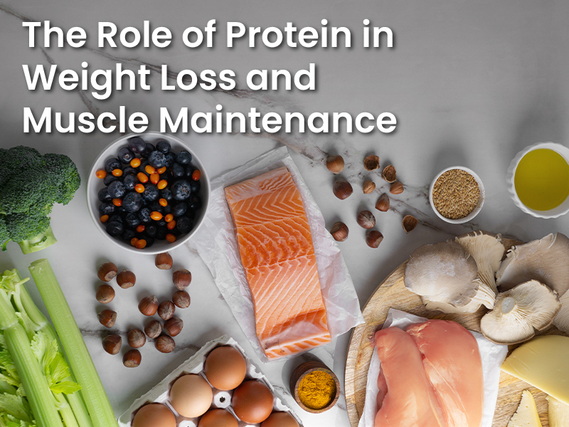 The Role of Protein in Weight Loss and Muscle Maintenance