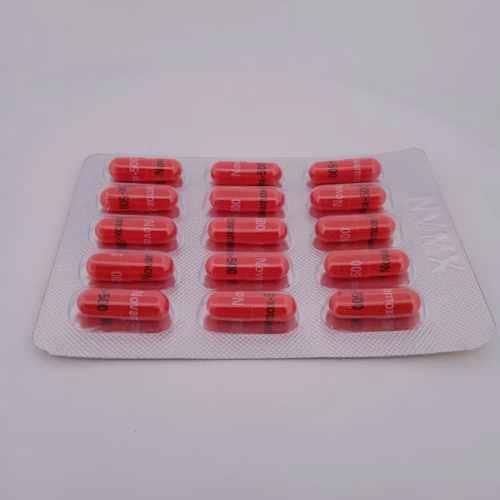 NOVAMOX 500 MG - 15 CAPSULES